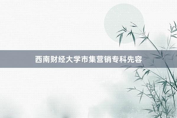 西南财经大学市集营销专科先容